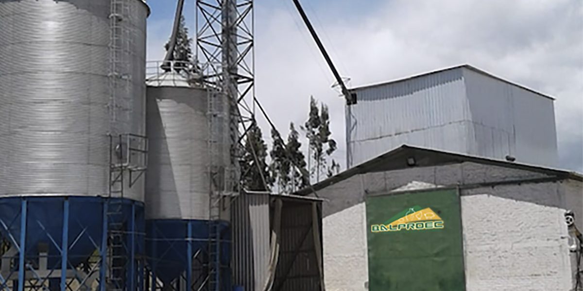 Fabricación de Balanceados