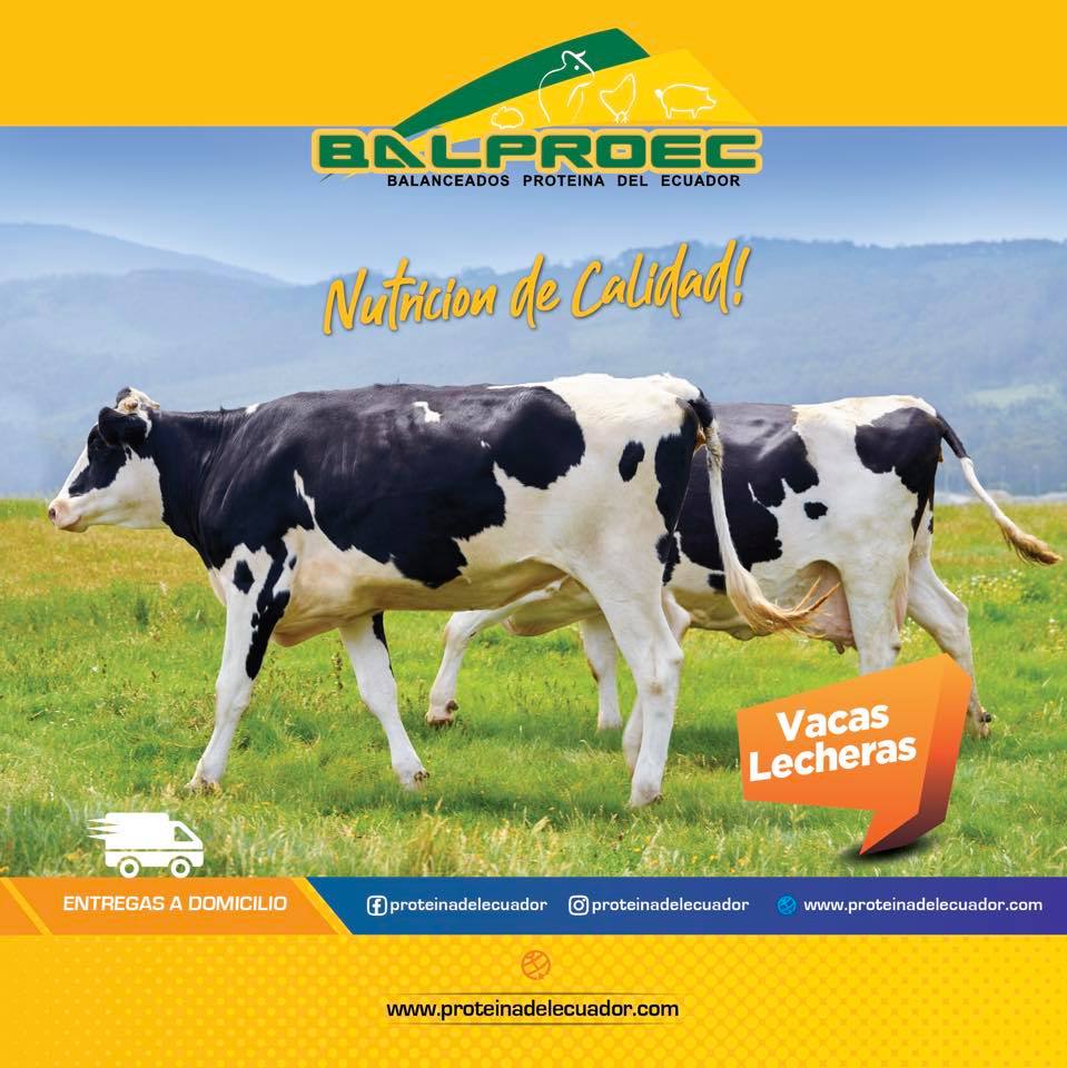 115798831_2117161281761283_7797872865993528762_n