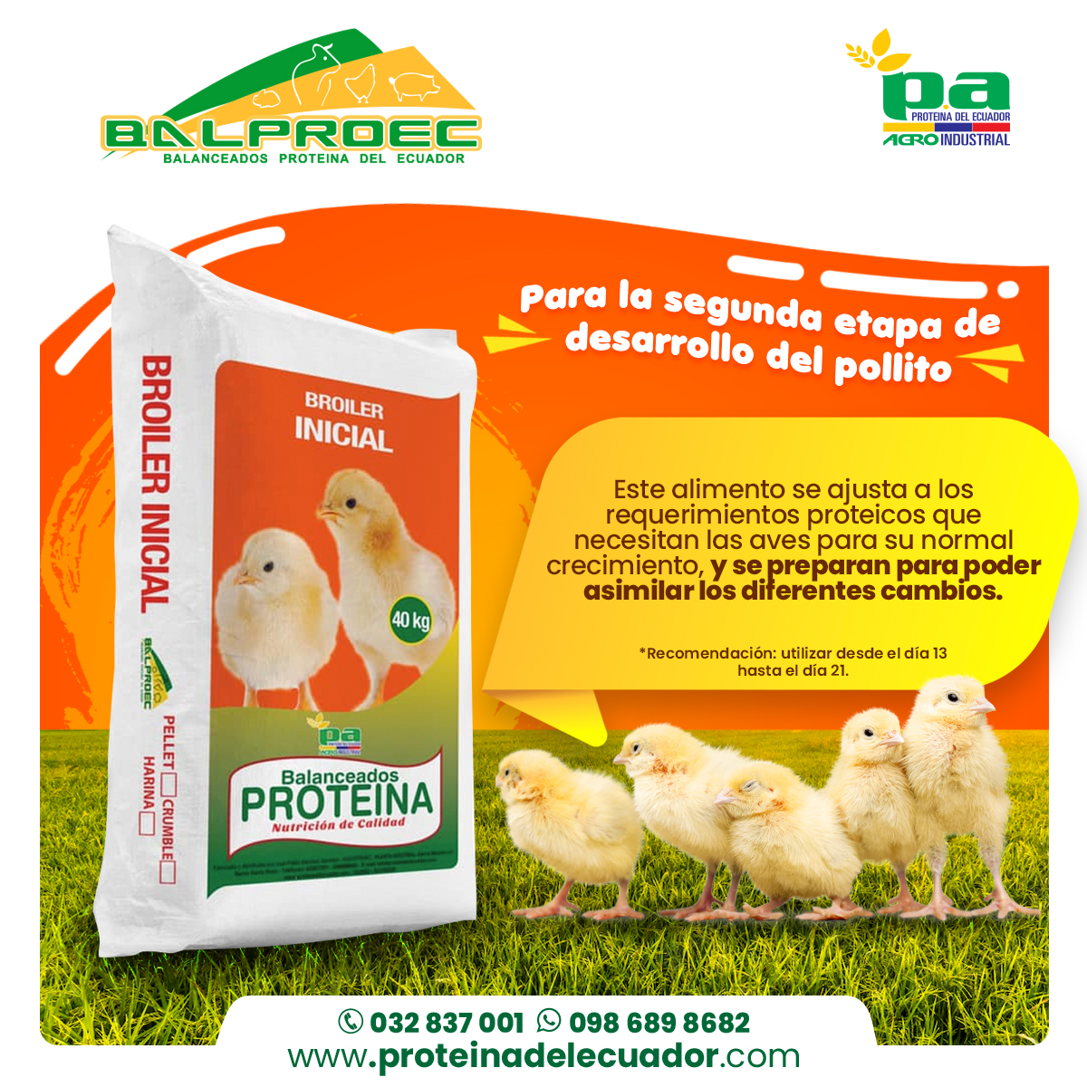 alimentos pollo