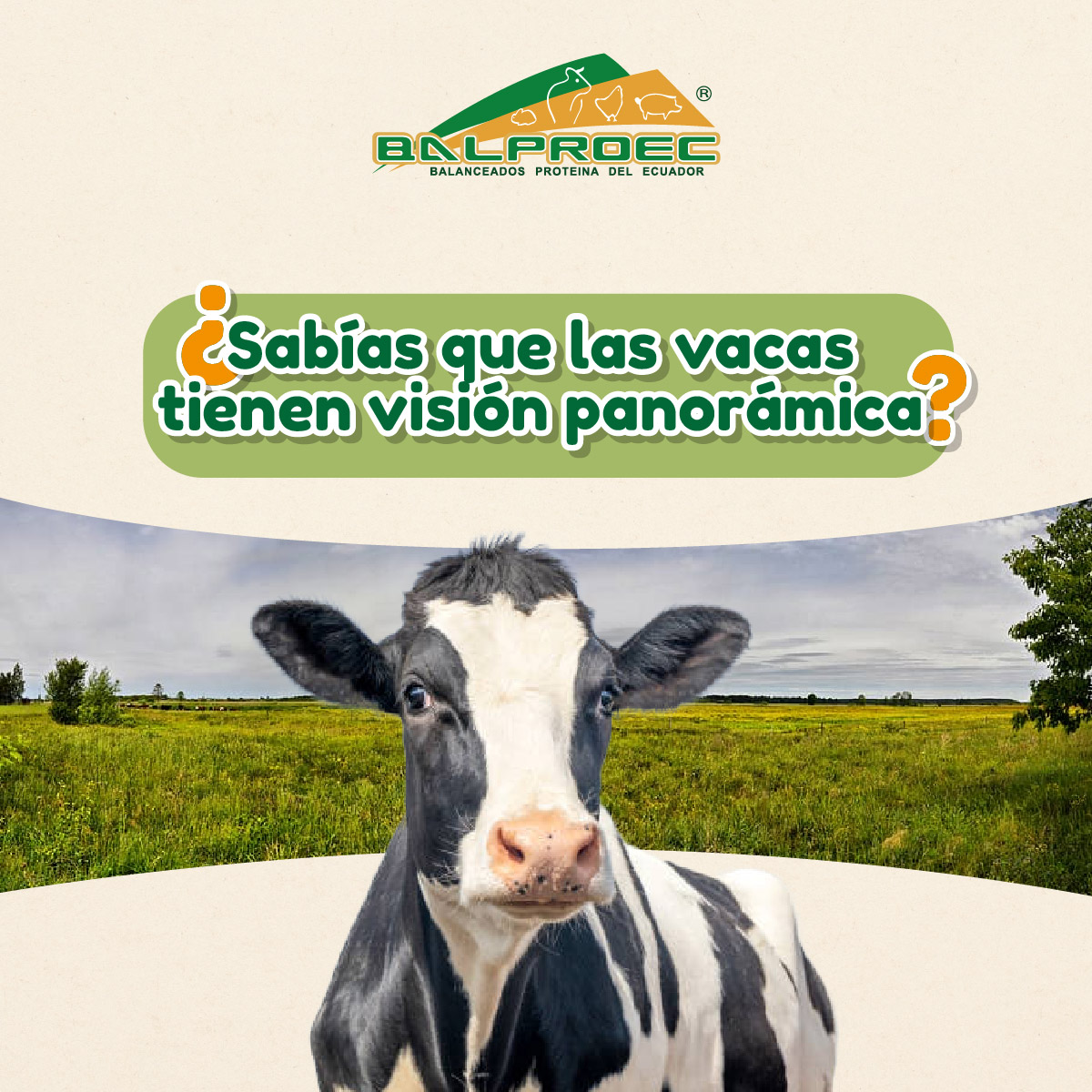 356845211_651370400369843_8304522599028169674_n