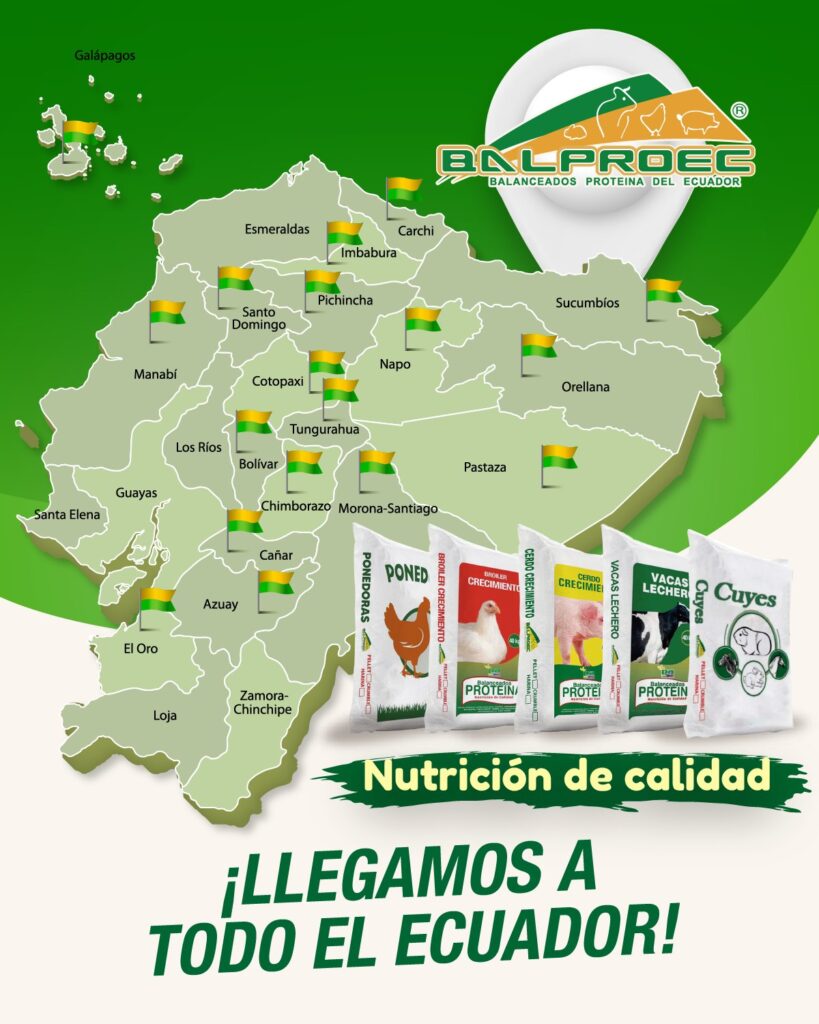 480424508_1033582385481974_8961974411398012789_n