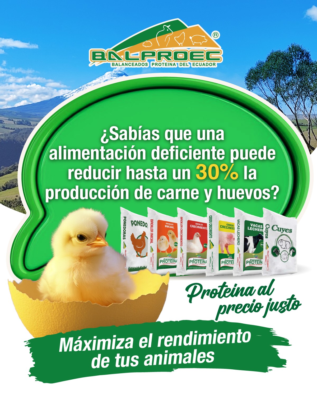 480486563_1033581908815355_59441781322705658_n